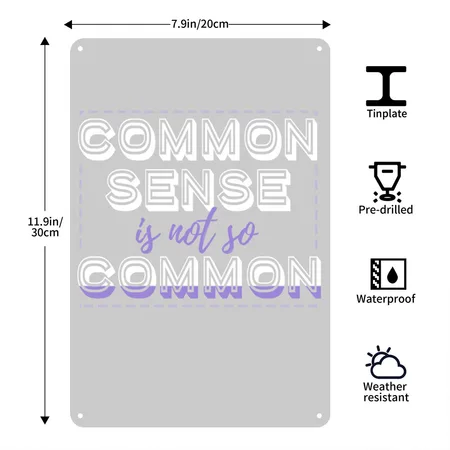 Common Sense Is Not So Common Heather Gray Metal Poster Wall Art Decor Sign