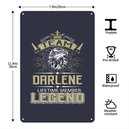 Darlene Name - Darlene Eagle Lifetime Memb Navy/heather Gray Metal Poster Wall Art Decor Sign