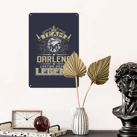 Darlene Name - Darlene Eagle Lifetime Memb Navy/heather Gray Metal Poster Wall Art Decor Sign