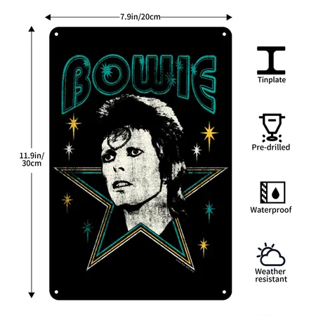 David Bowie Lettering With Portrait And Star Black Metal Poster Wall Art Decor Sign