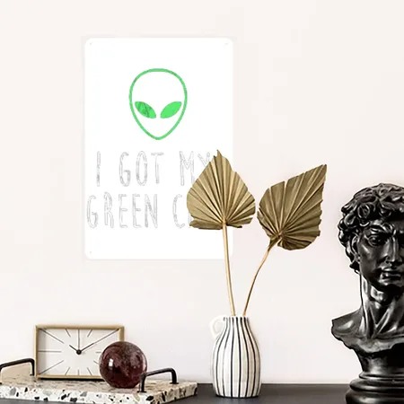 I Got My Green Card Transparent Glossy Metal Poster Wall Art Decor Sign
