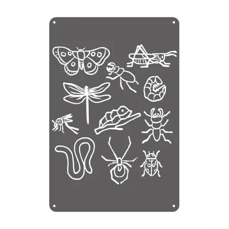 Kinds Of Insects Entomology Costumes Zoology Gifts Charcoal Grey Metal Poster Wall Art Decor Sign