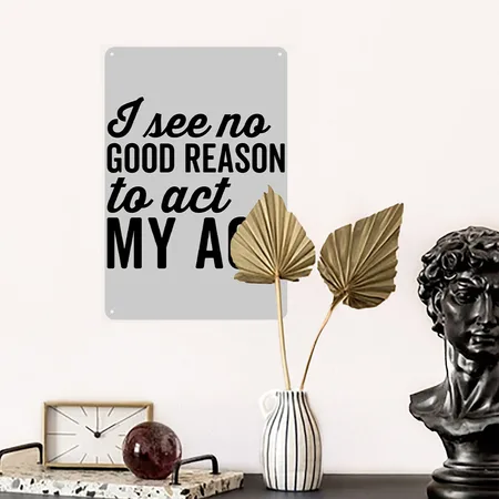 No Good Reason Act My Age Funny Sarcastic Saying Heather Gray Metal Poster Wall Art Decor Sign