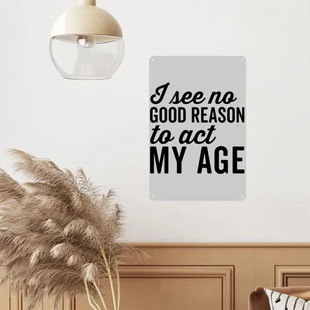 No Good Reason Act My Age Funny Sarcastic Saying Heather Gray Metal Poster Wall Art Decor Sign