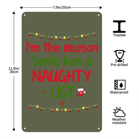 Reason Santa Has Naughty List Christmas Green Camo Metal Poster Wall Art Decor Sign