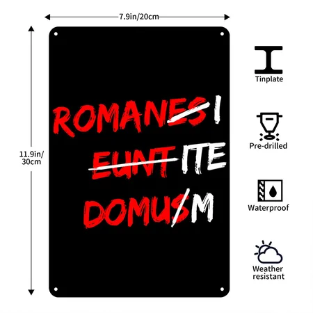 Romanes Eunt Domus Black Metal Poster Wall Art Decor Sign