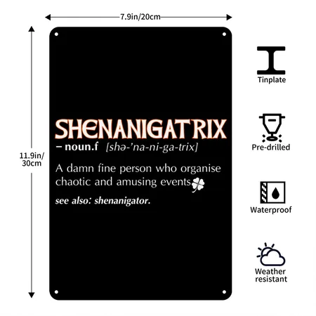 Shenanigatrix Meaning Dictionary Definition Irish Black Metal Poster Wall Art Decor Sign