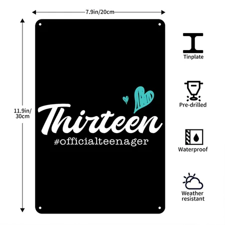 THIRTEEN OFFICIAL TEENAGER Black Metal Poster Wall Art Decor Sign